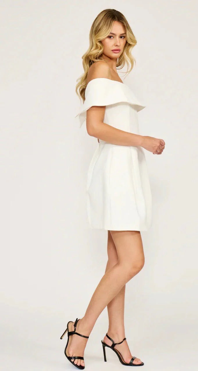 Erin Mini Dress