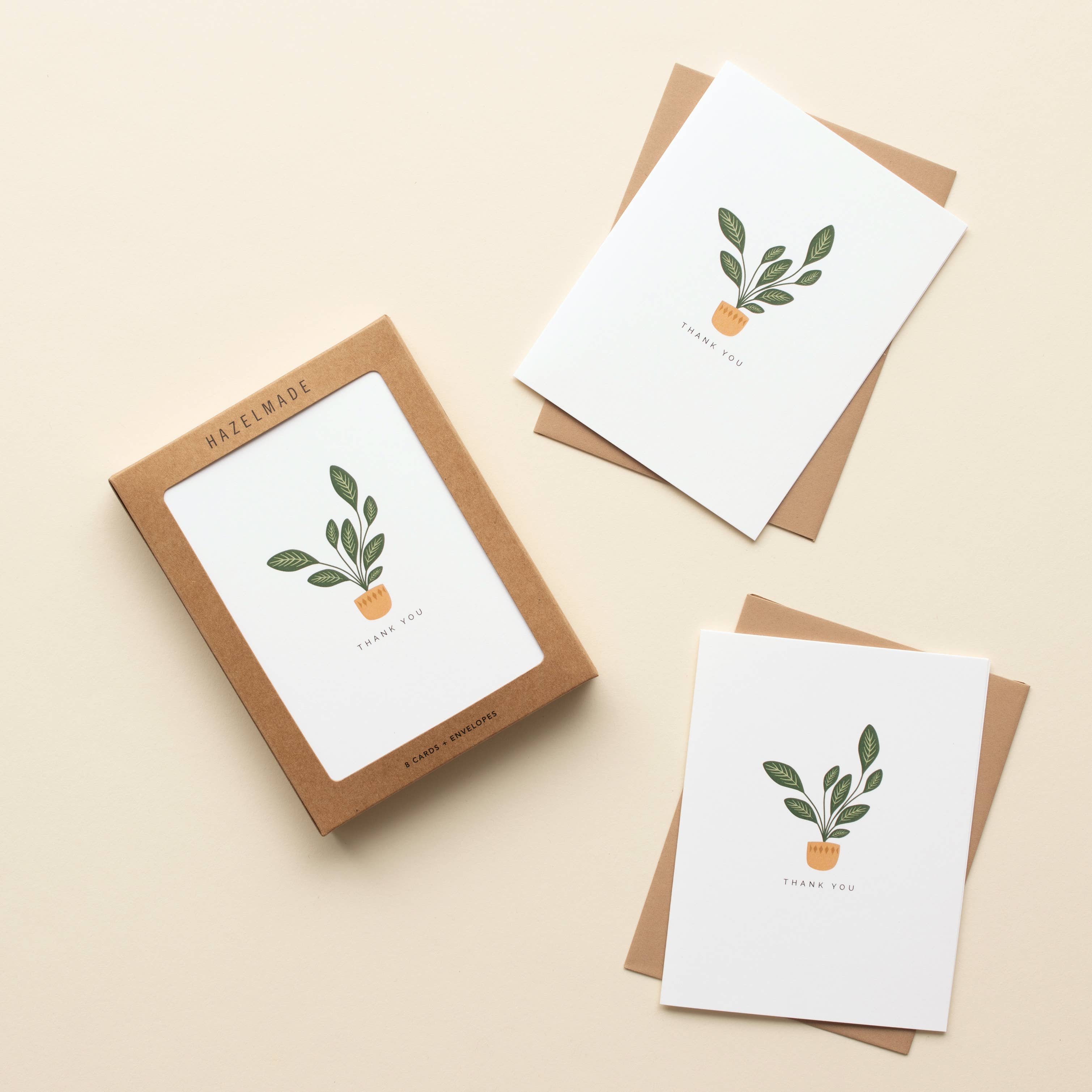 "Thank You" Calatheas / Plant / Thank You / BOX SET OF 8
