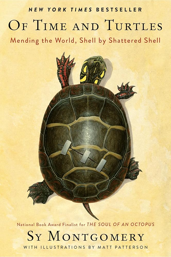 Of Time and Turtles: Mending the World, Shell by Shattered Shell: A heartwarming compassionate portrait of injured turtles, perfect for nature lovers. cover image