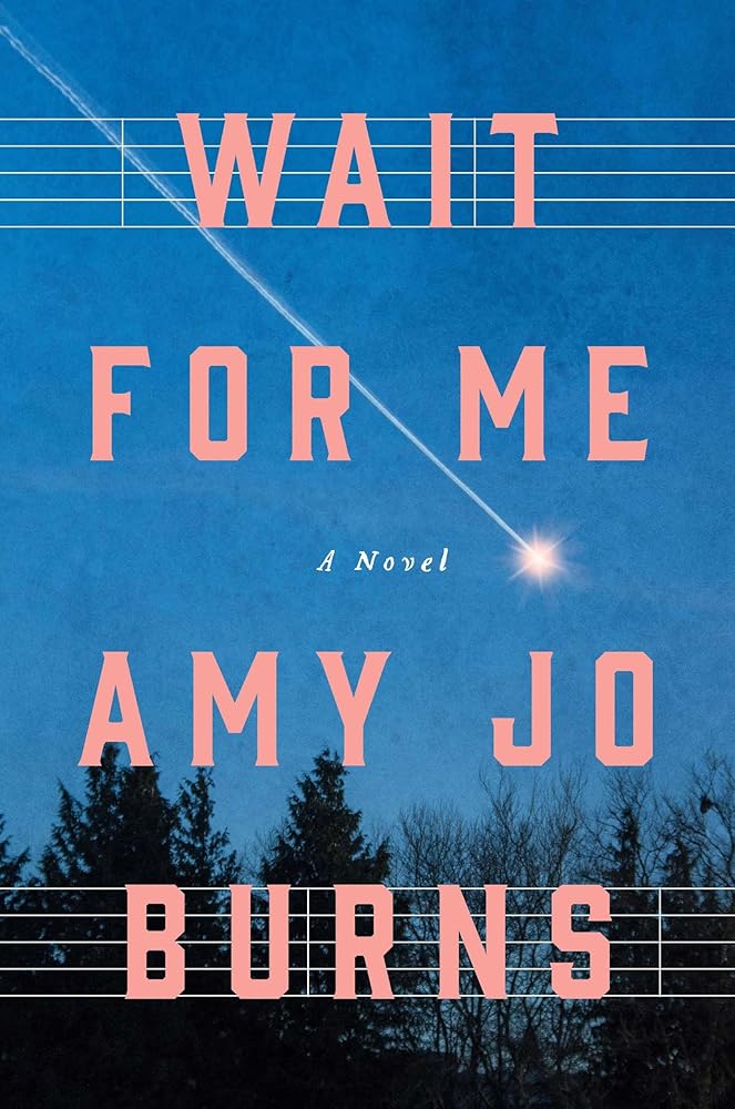 Wait for Me: A Novel cover image
