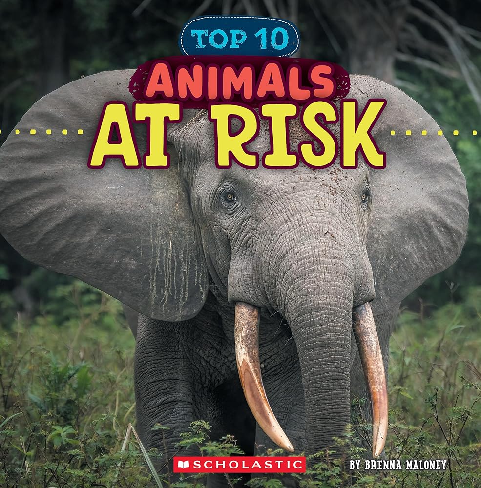 Animals at Risk (Wild World: Top 10) cover image