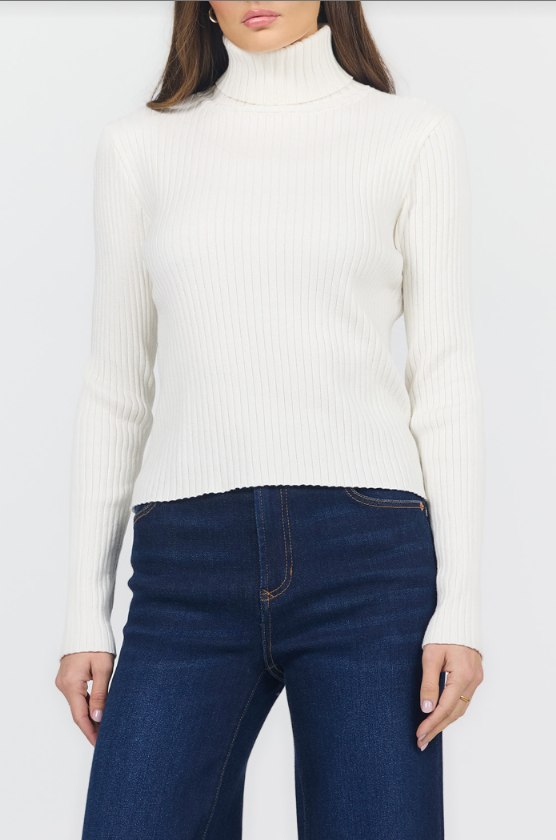 Arlen Ribbed Turtleneck Sweater