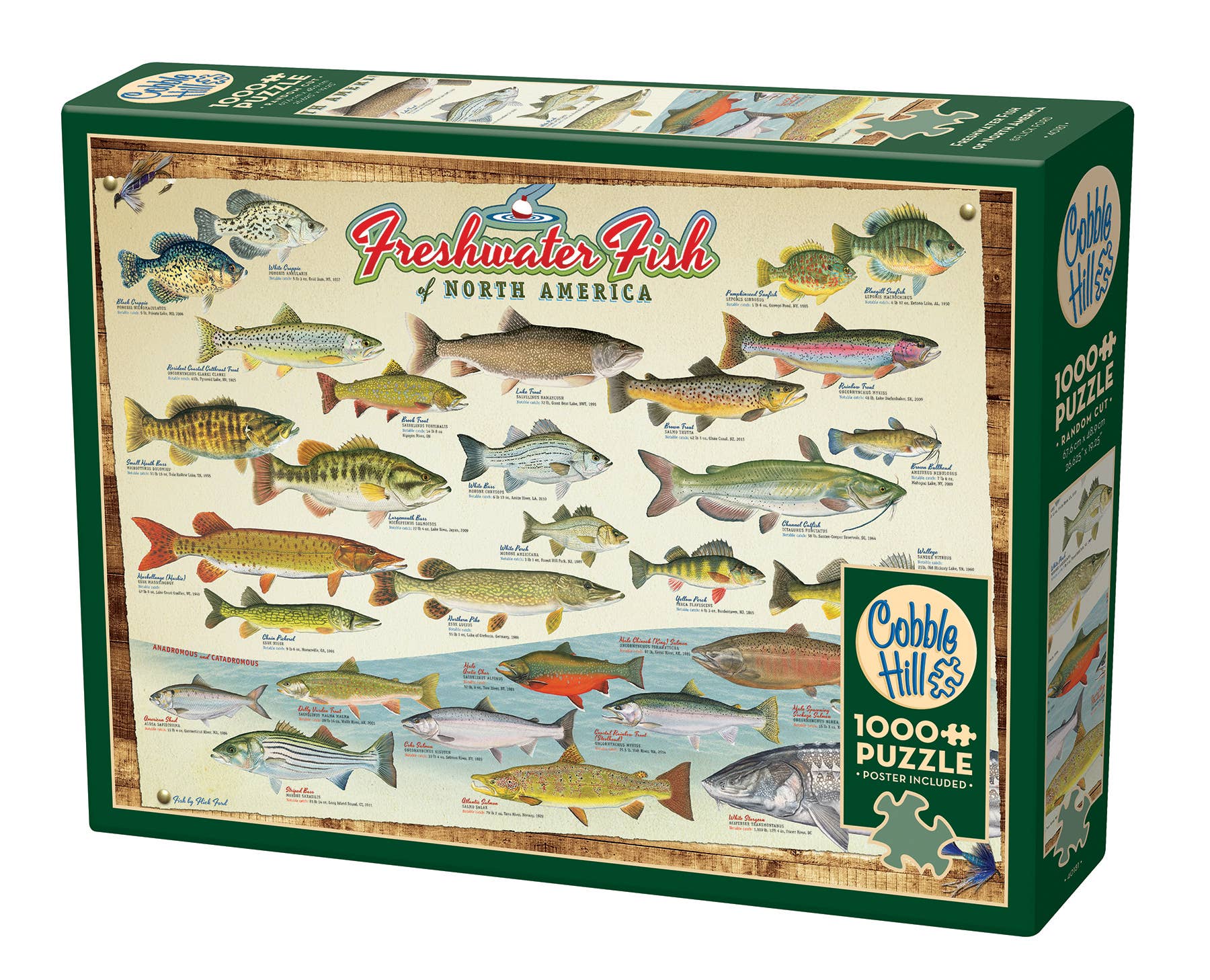 Freshwater Fish of NA 1000-Piece Cobble Hill Puzzle