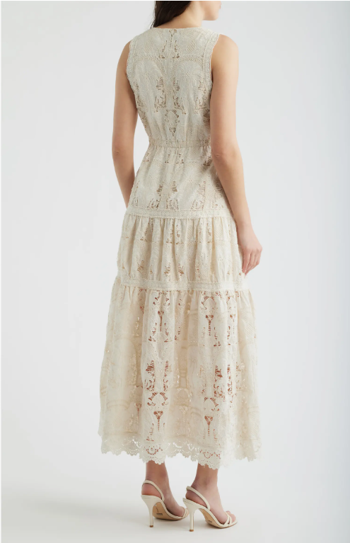 Francia Embroidered Lace Midi Dress